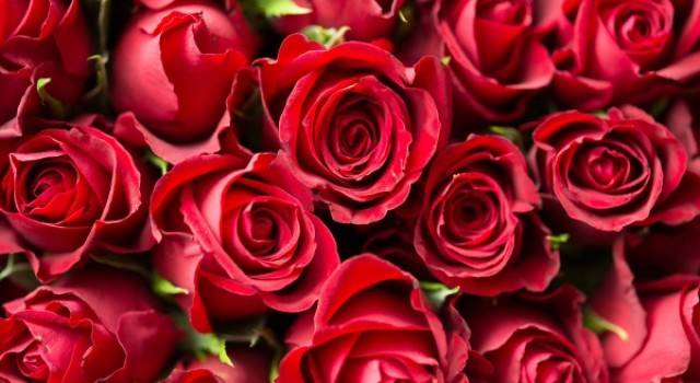 Valentines Day Flowers are unspoken words of LOVE and RESPECT!